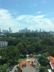 Park Infinia At Wee Nam (D11), Condominium #177843702
